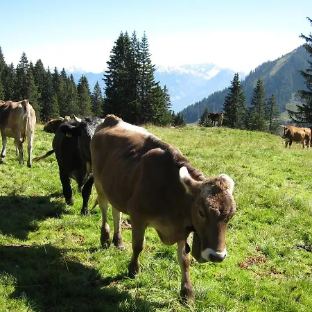 Haus Allgaeublick * Fischen im Allgaeu