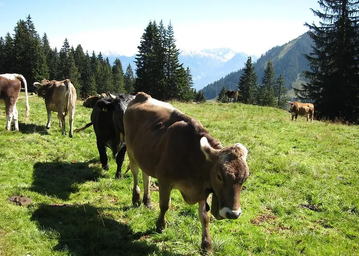 Haus Allgaeublick * Fischen im Allgaeu